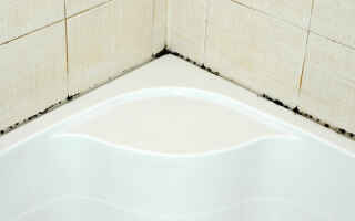 Как удалить плесень на стенах в ванной между плитками