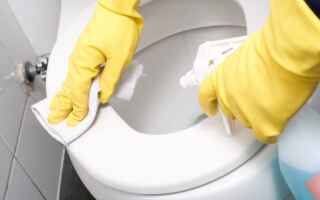 Основные и полезные советы по очистке ржавчины в унитазе